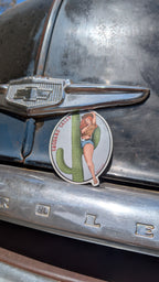 Saguaro Sally Nose Art Sticker