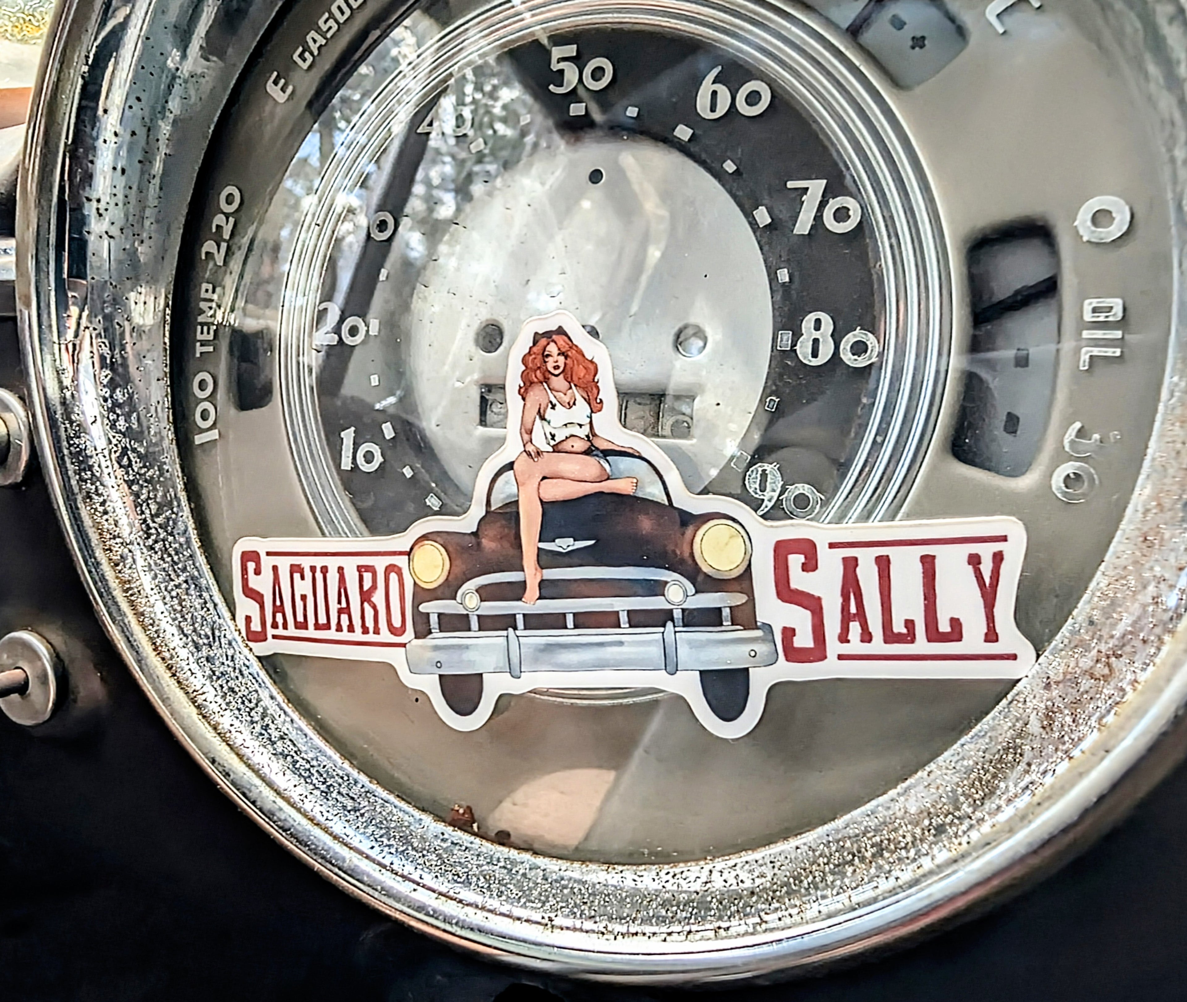 "Cruisin’ with Sally" Sticker